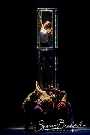 DIAVOLO - Voyage pc Sharen Bradford-0162