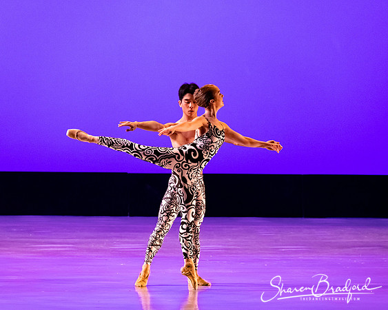 Ballet 37 pc Sharen Bradford-0444