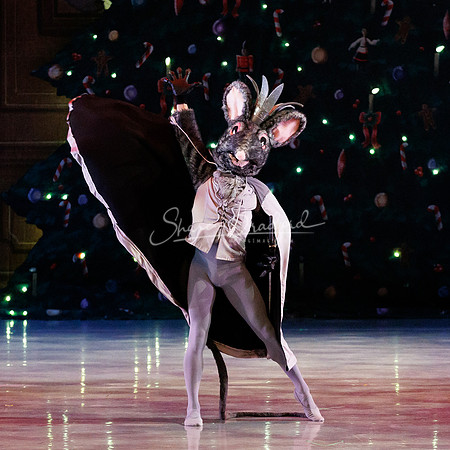 CPA Nutcracker 11-26-23 pc Sharen Bradford-7045