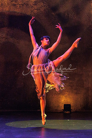Pegasus Amor Fati pc Sharen Bradford -0079
