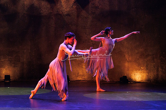 Pegasus Amor Fati pc Sharen Bradford -0100
