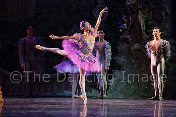 TB Sleeping Beauty Wed.-0062-2