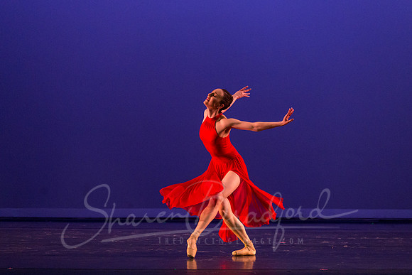 Subconscious Motion pc Sharen Bradford-1190