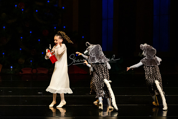 BNT Nutcracker Battle2 pc Sharen Bradford-2702