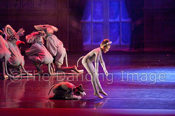 Chamberlain 2011 Sat-0657