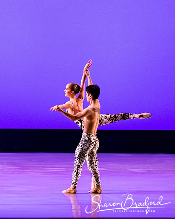 Ballet 37 pc Sharen Bradford-0437