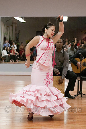 Flamenco-2-61