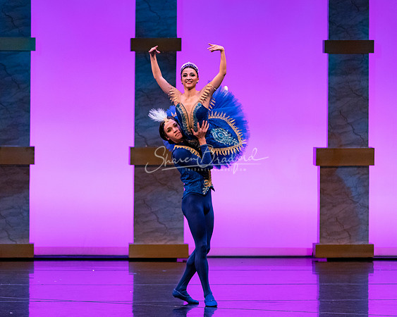Ballet NTX Sleeping Beauty pc Sharen Bradford-1891