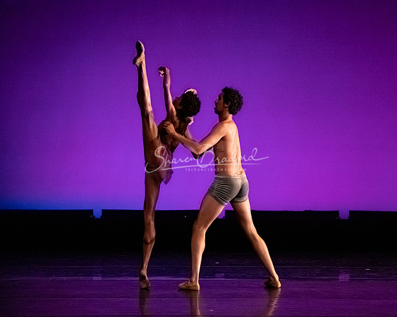Art Songs Pas de Deux pc Sharen Bradford-41165