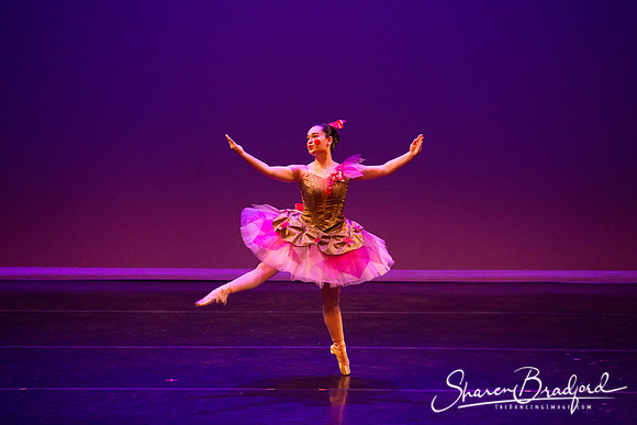Clara's Dream 2019 pc Sharen Bradford-0045
