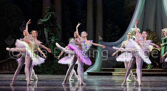 TB Sleeping Beauty Wed.-0122