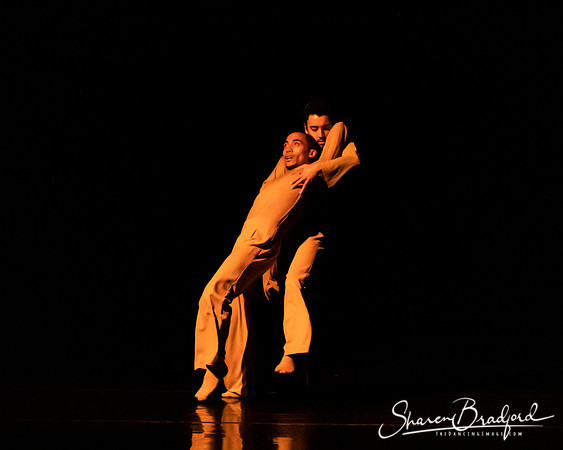 A Measurable Existence- Gibney Company pc Sharen Bradford-0849