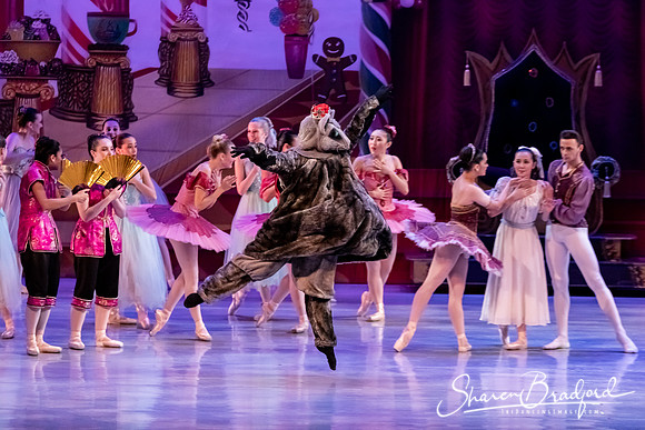CCBT Nutcracker 19 pc Sharen Bradford-5453