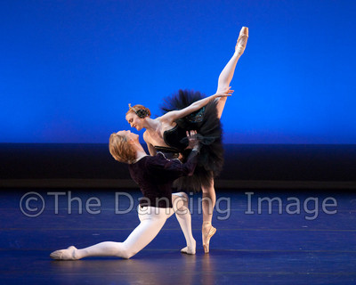 Black Swan-1163