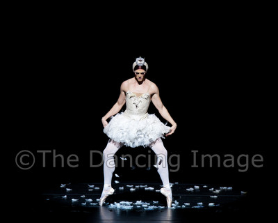 Dying Swan-0521
