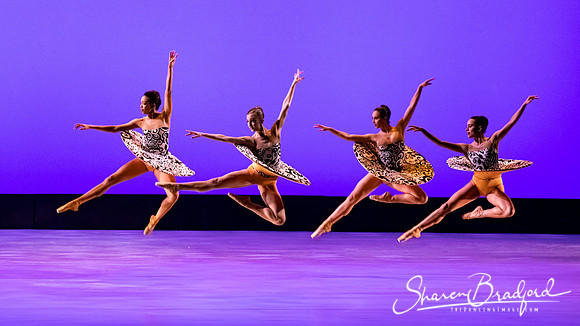 Ballet 37 pc Sharen Bradford-0408