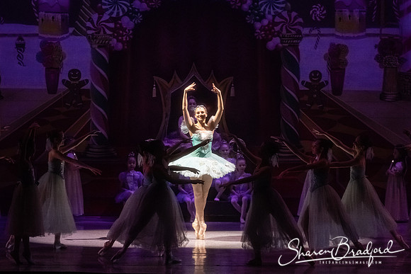 CCBT Nutcracker 19 pc Sharen Bradford-5253