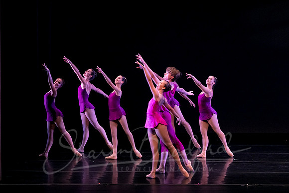 Dallas Ballet Company pc Sharen Bradford-4889
