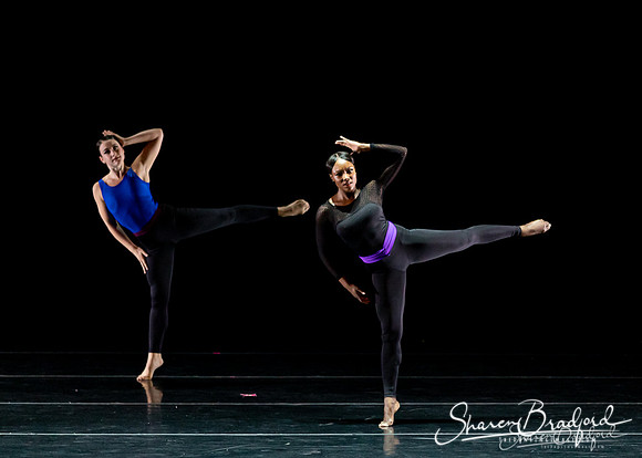 DBDT Execution of a Sentiment pc Sharen Bradford-0864