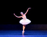 Dying Swan pc Sharen Bradford-1195