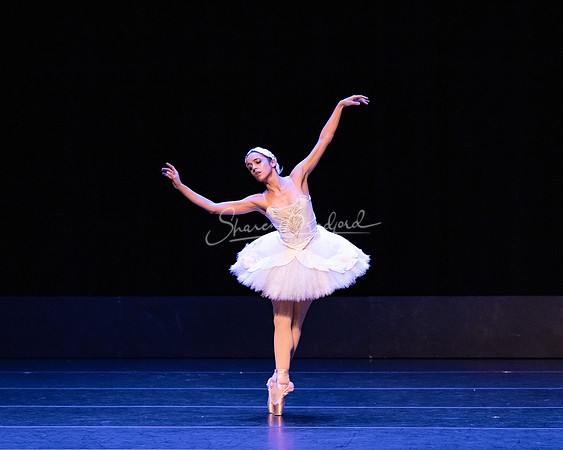 Dying Swan pc Sharen Bradford-1195