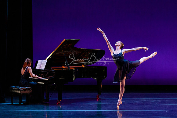 Rhapsody in Blue pc Sharen Bradford-1411