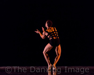 Growth_Albert Drake-2365