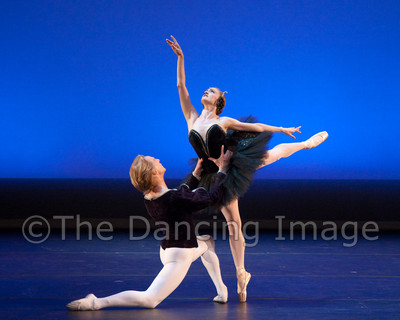 Black Swan-1164