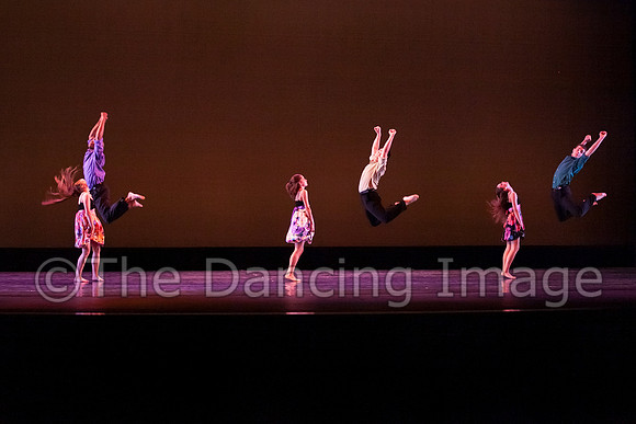 Bay Area Houston Ballet-0973
