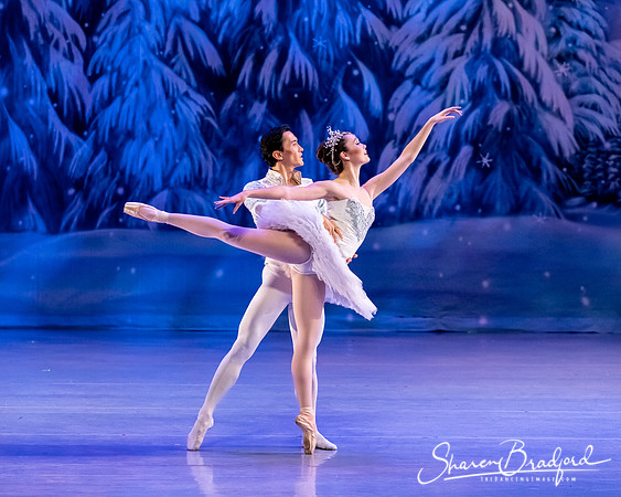 CCBT Nutcracker 19 pc Sharen Bradford-4824