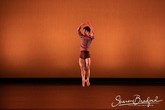 TBT Studio  pc Sharen Bradford-3991