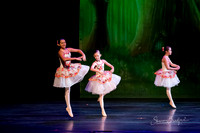 Tea Party Ladies-0360
