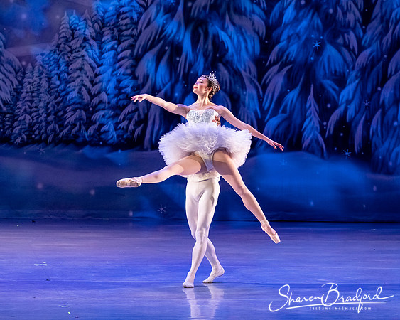 CCBT Nutcracker 19 pc Sharen Bradford-4928