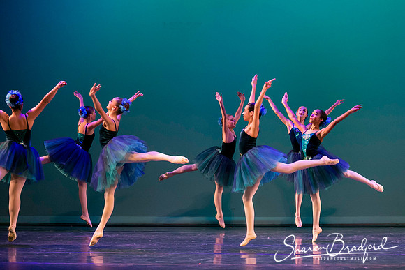 Khachaturian Waltz pc Sharen Bradford-3706