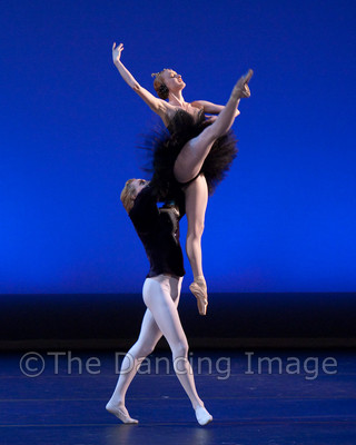 Black Swan-1095