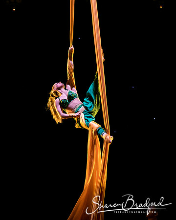 Nutcracker eve pc Sharen Bradford-7029