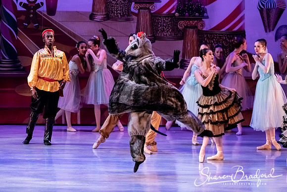 CCBT Nutcracker 19 pc Sharen Bradford-5458