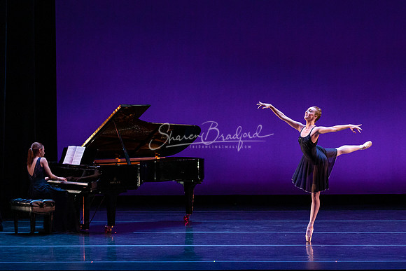 Rhapsody in Blue pc Sharen Bradford-1398