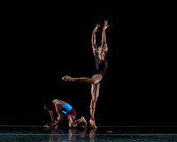 DBDT Execution of a Sentiment pc Sharen Bradford-0906