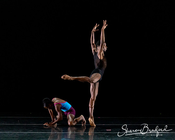 DBDT Execution of a Sentiment pc Sharen Bradford-0906