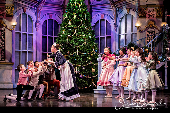 Nutcracker matinee pc Sharen Bradford-4260