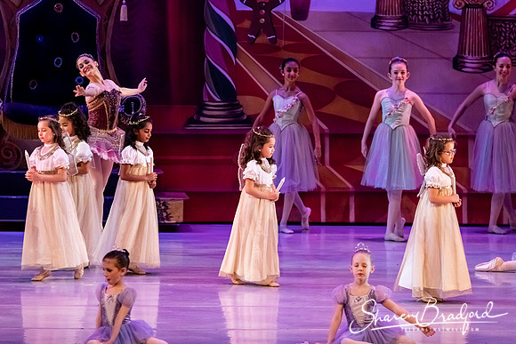 CCBT Nutcracker 19 pc Sharen Bradford-5334