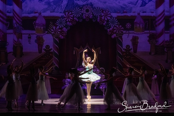 CCBT Nutcracker 19 pc Sharen Bradford-5254