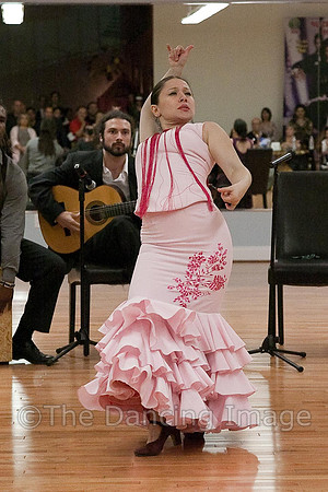 Flamenco-2-31