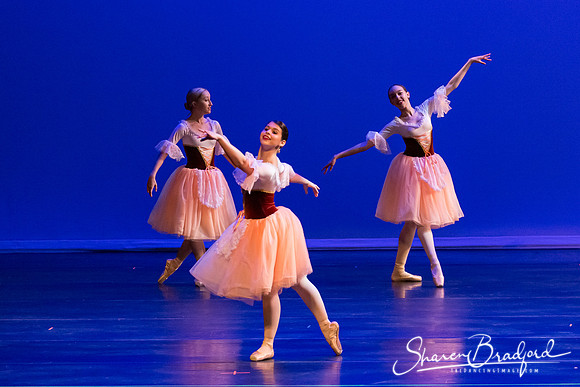 Coppelia-1706