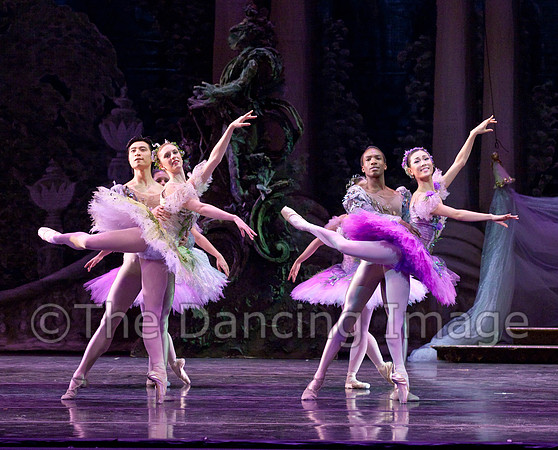 TB Sleeping Beauty Wed.-0118