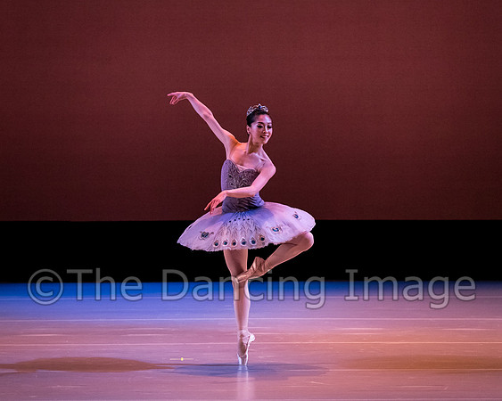 Le Corsaire-3062
