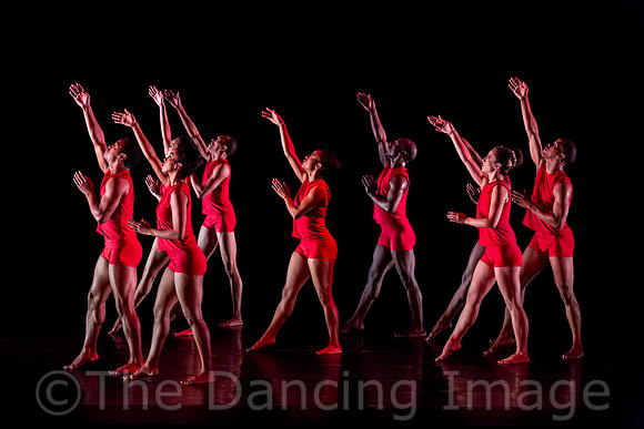 RED-1176