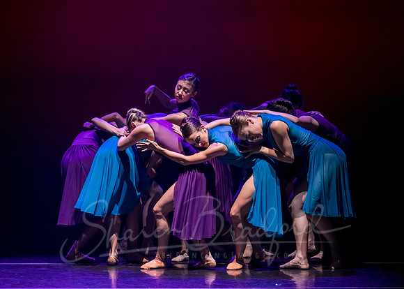 Ballet Frontier pc Sharen Bradford-3386