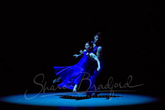 Following Echoes - pc Sharen Bradford-3478